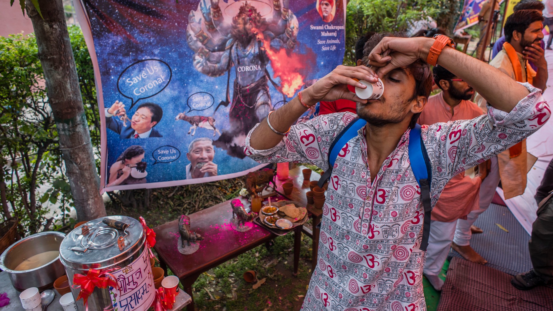 Ratusan Anggota Serikat Hindu Seluruh India Pesta Minum Air Kencing Sapi untuk Tangkal Virus Corona